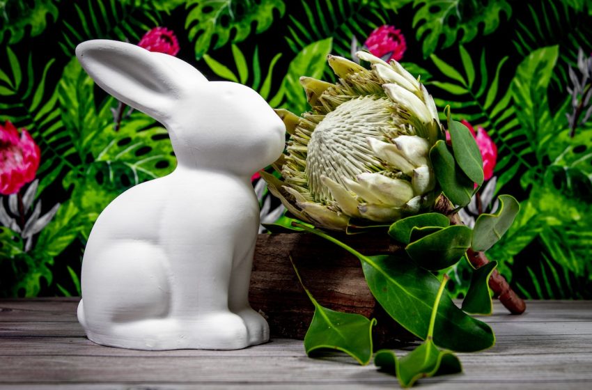 Idées originales pour décorer votre jardin avec des objets de récupération